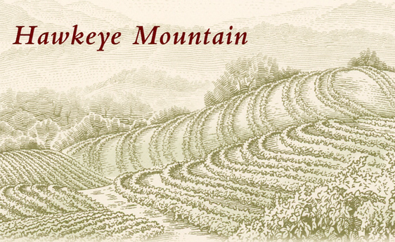 Top Ten : Cabernet Sauvignon