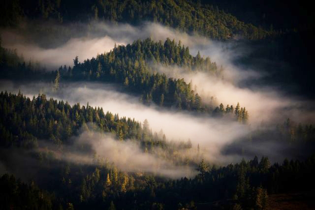 Top Ten : California