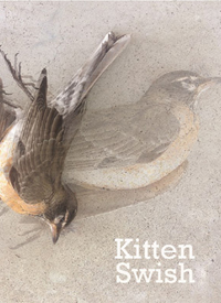 Kitten Swish Here and Gonetext