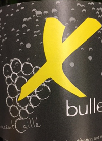 Vincent Caillé X Bullestext