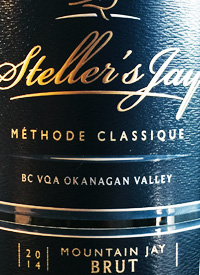 Steller's Jay Mountain Jay Brut Méthode Classiquetext